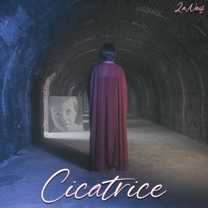 cicatrice copertina (1)